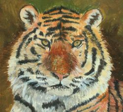 Paint a Tiger in Acrylic